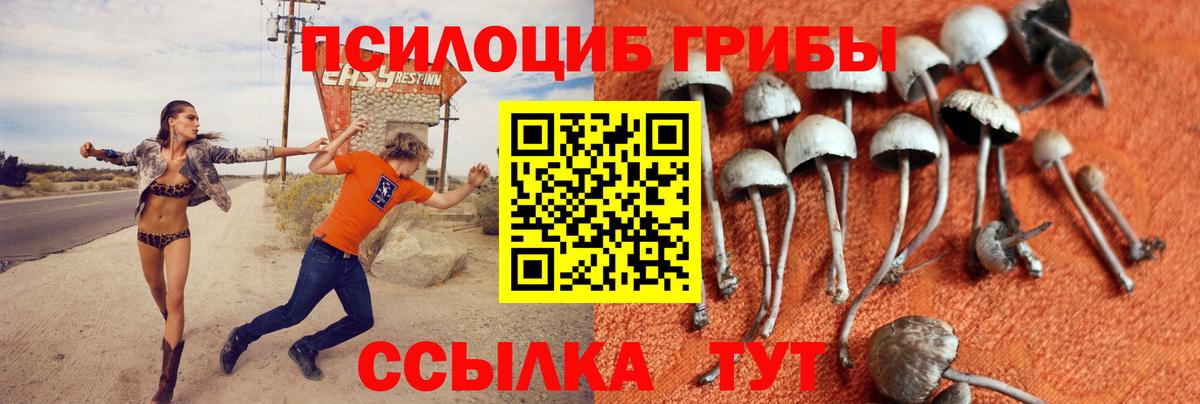 Галлюциногенные грибы ЛСД Киржач